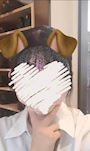 体験🐱ルル