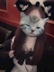 プロフィール写真1・かほ🐶Maimii十三店🐶|Maimii・メイミー - 十三のガールズバー