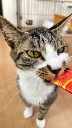 🧸おーまいごぉー、、、🧸