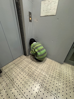 🍸♥️🍸店長 まこ🍾✴︎ .。「この前のせいら」