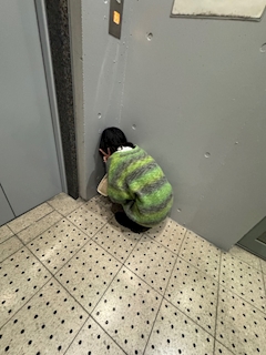 🍸♥️🍸店長 まこ🍾✴︎ .。「この前のせいら」