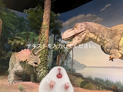 タイミーさん「マスカルポーネ」