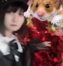 chiko
