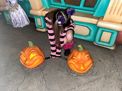 プロフィール写真5・💖💜💖YUNA💜吉祥寺リコリス💖💜💖｜GIRL'S BAR LyCoris・リコリス - 吉祥寺駅前のガールズバー