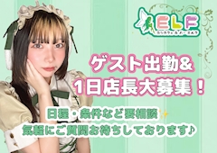 プロフィール写真1・ゲスト出勤｜コンカフェ＆バー ELF 高田馬場店・エルフ - 高田馬場のコンカフェ