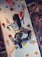 プロフィール写真15・おとは|カランコロン - 秋葉原のコンカフェ