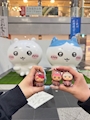 chiko