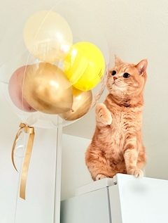 店舗写真 SEASON・シーズン - 国分町のスナック