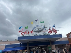 さつき