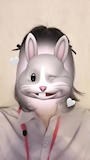 なつめ