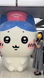 chiko