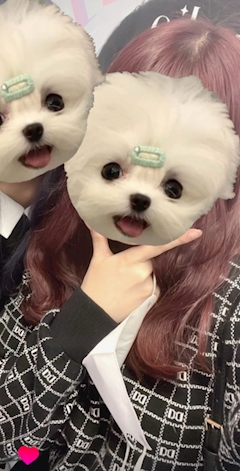 プロフィール写真8・ゆうな｜girl's & bar MISTY・ミスティ - 大井町のガールズバー