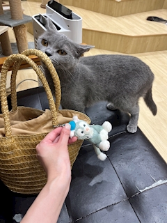 プロフィール写真8・🦋あいり🦋｜CLUB FOUR NINE・クラブフォーナイン - 春日井のクラブ/ラウンジ