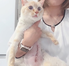 るちる「😺4/25🐾」