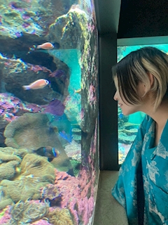 にじか「10/15」