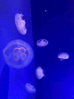 プロフィール写真28・梨花(りか)Lounge TOKIWA｜Lounge TOKIWA・ラウンジトキワ - ときわ台のクラブ/ラウンジ