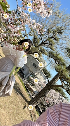 まゆ「桜見てない人」