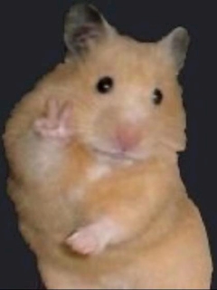 プロフィール写真1・すみれ|Never Land ・ネバーランド - 富士見のキャバクラ