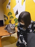 せら