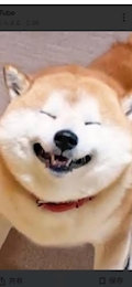 さき
