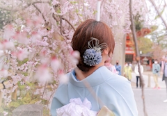 プロフィール写真1・ゆらん|天王寺 キャバクラ・ディオーネ