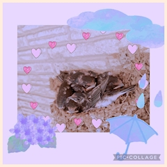 プロフィール写真2・あや｜ルーブル・ルーブル - 町田駅前の熟女パブ/熟女キャバクラ