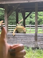 新着ブログ しゅっきーーん