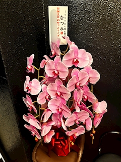 プロフィール写真3・なっちゃん｜Snack Bar 兎&黒猫・うさぎとくろねこ - 名古屋 錦のスナック