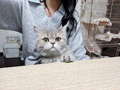 らん