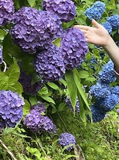 プロフィール写真1・りり｜由衣・ユイ - 塩釜・尾島町のスナック