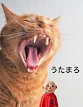 あやのこうじうたまろ乃氶の嬢下の上からの明日のジョー