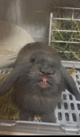 *