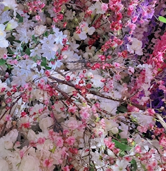 プロフィール写真1・寧々｜Laboon・ラブーン - 新橋のクラブ/ラウンジ