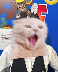 プロフィール写真1・もも｜刈谷 ガールズバー・フェスティバル