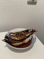 新着ブログ ララ子の適当飯🧏🏼‍♀️