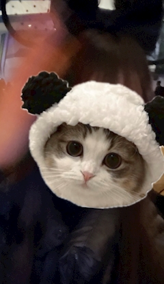 プロフィール写真3・ふうか🍊巣鴨THREE｜GIRLS BAR THREE・スリー - 巣鴨のガールズバー