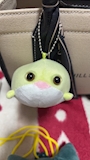 chiko