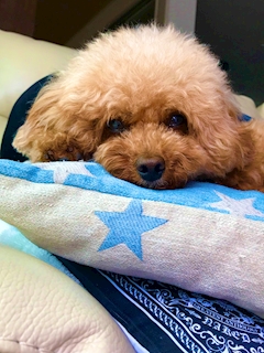 プロフィール写真4・天海　夏姫｜Club ES・エス - 岐阜 柳ヶ瀬のキャバクラ