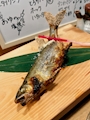 新着ブログ 0904ฅˆ•ﻌ•ˆฅ♡*