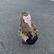 プロフィール写真5・如月 ゆう|QUEENS・クイーンズ - 山形駅前・香澄町のキャバクラ