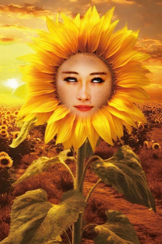 🌻君乃そら🌻