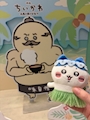 chiko