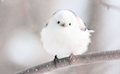 さき