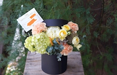 なお「おめでとう」