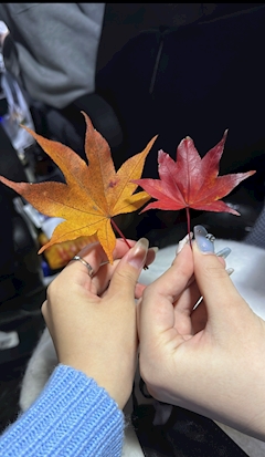 🤍🤍ྀི「はろー10がつ」