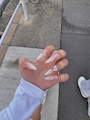 新着ブログ ( ᴗ̀ ̫ᴗ́ )✨️✨