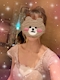 プロフィール写真1・ゆか|PUB CLUB トレビの泉・トレビノイズミ - 南橋本のキャバクラ