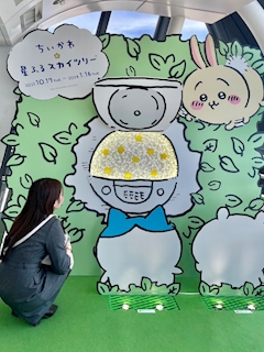 プロフィール写真5・🩵のあ🩵昼キャバ!!津田沼Raphael🩵｜朝・昼キャバ!!Raphael 津田沼店・ラファエル - 津田沼の朝・昼キャバ