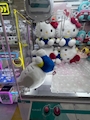 新着ブログ ^ᴗ.ᴗ^ ᶻᶻ