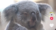 プロフィール写真1・(｡-_-｡)｜carthago・カルタゴ - 尾張 蟹江のキャバクラ